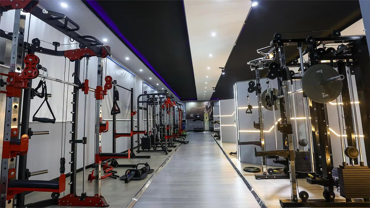 Chine Shandong Freeman Fitness Equipment Co., Ltd. Profil de la société