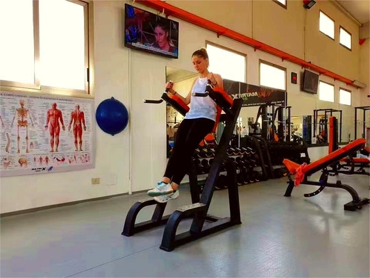 Matériau en acier pour entraîneur de gymnastique pour le bodybuilding ultime