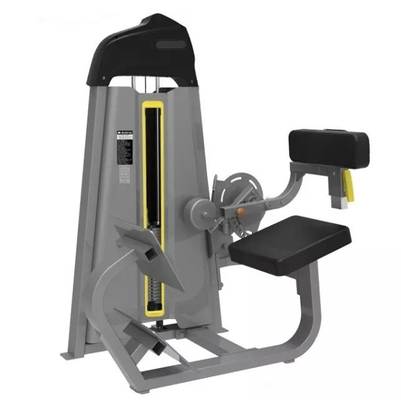 Machine d'extension du dos Équipement de remise en forme pour l'entraînement en salle de gym et l'exercice de musculation