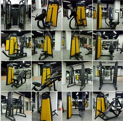 Machine de remontage des jambes assises en acier universelle à charge moyenne pour la sélection de la charge des broches pour l'entraînement au gymnase