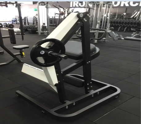 Machine à ramer chargée de plaques d'acier pour l'entraînement de la force et l'entraînement des muscles du dos au gymnase