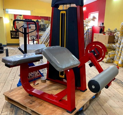 Équipement d'entraînement de gymnastique pour la musculation