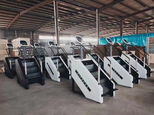 Équipement de gymnastique universel Notre machine à pas de puissance commerciale pour l'entraînement cardio