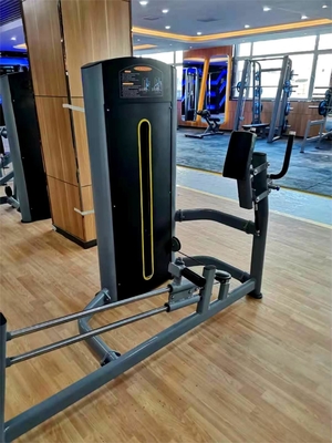 Logo Logo personnalisé disponibled Machine de gluten Kickback pour les centres de remise en forme commerciaux