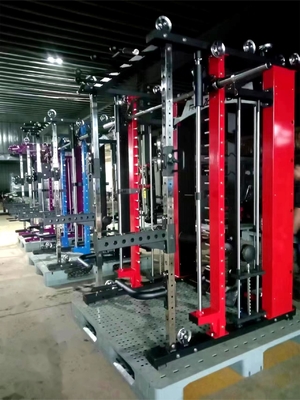 Entraînement de force à domicile avec un entraîneur fonctionnel tout-en-un et une pile de poids de 3*80 kg
