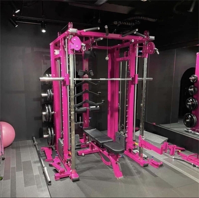 Entraînement de force à domicile avec un entraîneur fonctionnel tout-en-un et une pile de poids de 3*80 kg