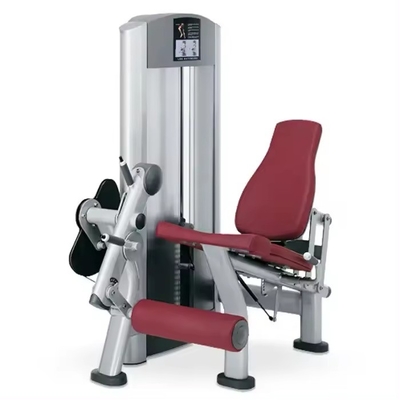 Machine d'extension des jambes assise en acier idéale pour l'entraînement du quadriceps et des cuisses des chargeurs moyens