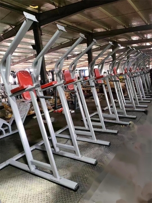 Équipement de remise en forme en acier pour le commerce de la menthe et de la jambe avec élévation assistée de la menthe et de la jambe 1490*1120*2370