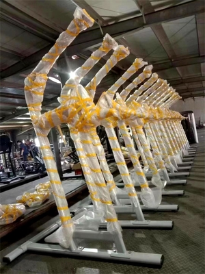 Équipement de remise en forme en acier pour le commerce de la menthe et de la jambe avec élévation assistée de la menthe et de la jambe 1490*1120*2370