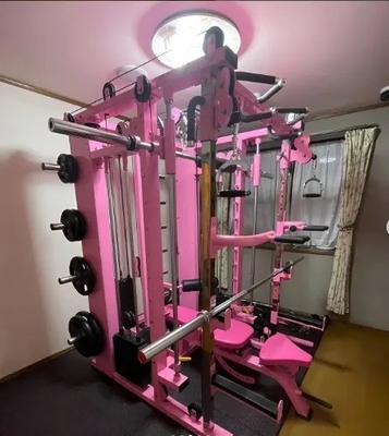 Unisexe entraîneur fonctionnel Smith machine épingle chargée et plaque chargée pour le rack de gym à domicile