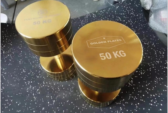 Découvrez la puissance de nos haltères chrome pour l'entraînement de force 2,5kg-100kg
