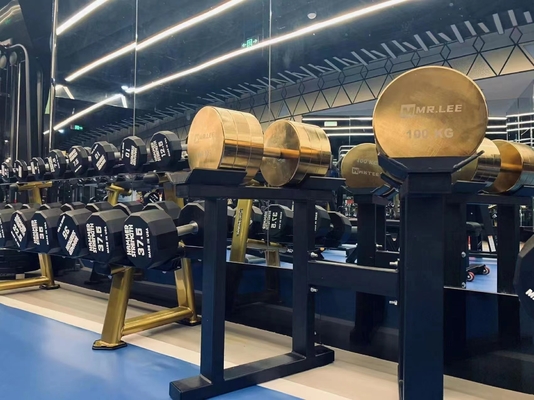 Découvrez la puissance de nos haltères chrome pour l'entraînement de force 2,5kg-100kg