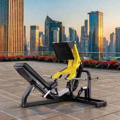 Prise de pression sur les jambes Hack Squat Formation de la force Plaque chargée Machine 1120 * 1710 * 1170mm Dimensions