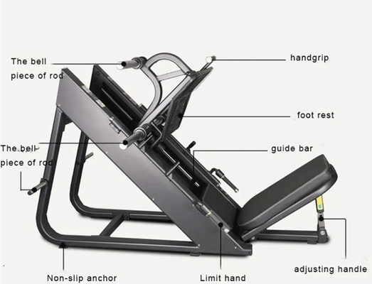 Entraîneur de presses pour les jambes pour l' entraînement en force Gymnase Fitness 45 degrés Plaque de poids chargée