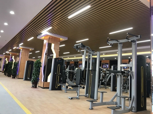 Multifonction Smith et squat rack pour exercice de gym avec sélection de poids réglable