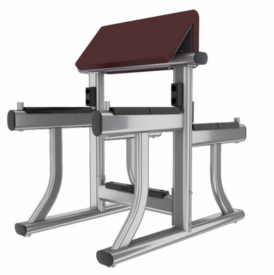 Banquette de remise en forme de bras en acier pour les biceps et les équipements de gym 1170*800*1080 mm