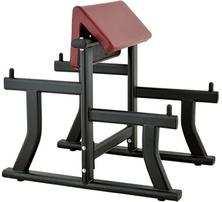 Banquette de remise en forme de bras en acier pour les biceps et les équipements de gym 1170*800*1080 mm