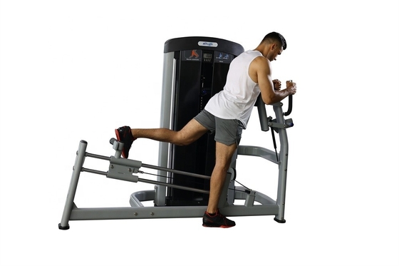 Équipement de gymnastique commerciale Chargeur moyen en acier Q235 Extension de glute pour gymnastique commercial