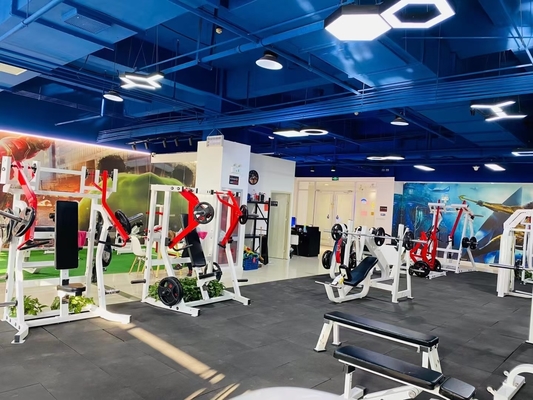 Équipement de remise en forme avec plaque ISO-LATERAL Appuie sur l'épaule pour une activation musculaire maximale