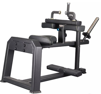 Machines de gymnastique sportive professionnelle chargées de plaques pour les entraînements de musculation