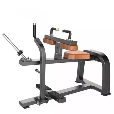 Machines de gymnastique sportive professionnelle chargées de plaques pour les entraînements de musculation