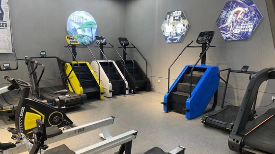 Machine de musculation salle de gym Escalier Grimpeur d'escalier Commercial Master Stepper Exercice