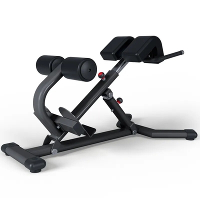 Chaise romaine pour l' exercice abdominal et du dos