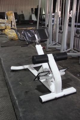 Chaise romaine pour l' exercice abdominal et du dos