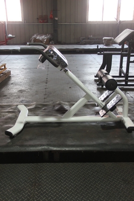 Chaise romaine pour l' exercice abdominal et du dos