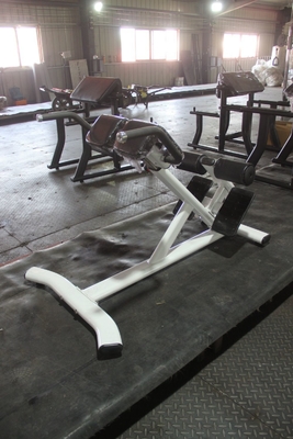 Chaise romaine pour l' exercice abdominal et du dos