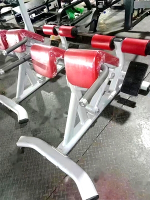 Chaise romaine pour l' exercice abdominal et du dos