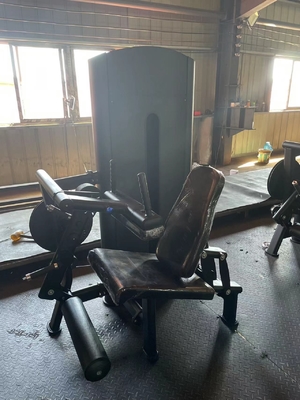 Équipement de gymnastique commercial épingle chargée 2 en 1 réglable Assise Extension de jambe machine de remontage des jambes