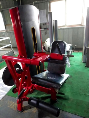 Équipement de gymnastique commercial épingle chargée 2 en 1 réglable Assise Extension de jambe machine de remontage des jambes