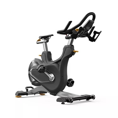 Deux couches de revêtement en poudre électrostatique à l'intérieur du vélo à vélo avec résistance magnétique