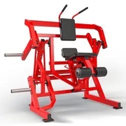 Équipement de remise en forme à plaque lourde pour des exercices efficaces du dos et de l'abdomen