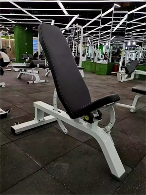 Équipement de gymnastique d'intérieur Appareils de presse à poids commercial réglable avec matériau métallique