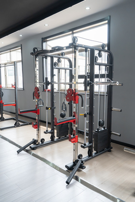 Options de couleurs de cadre pour Smith Machine Cage dans l'équipement de gym commercial personnalisé
