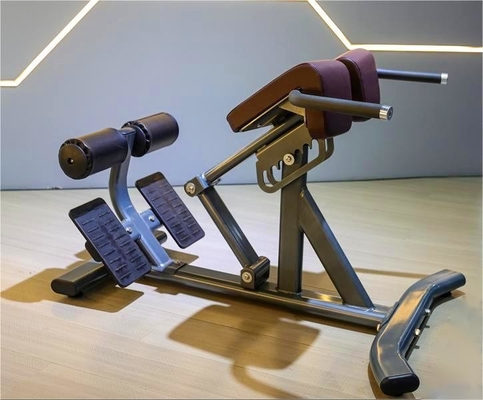 Équipement de fitness de luxe pour les exercices du dos Extension réglable du dos Chaise romaine