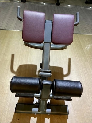 Équipement de fitness de luxe pour les exercices du dos Extension réglable du dos Chaise romaine