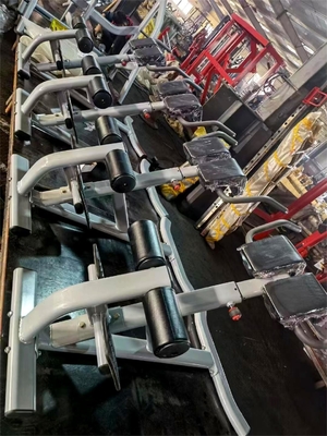 Équipement de fitness de luxe pour les exercices du dos Extension réglable du dos Chaise romaine