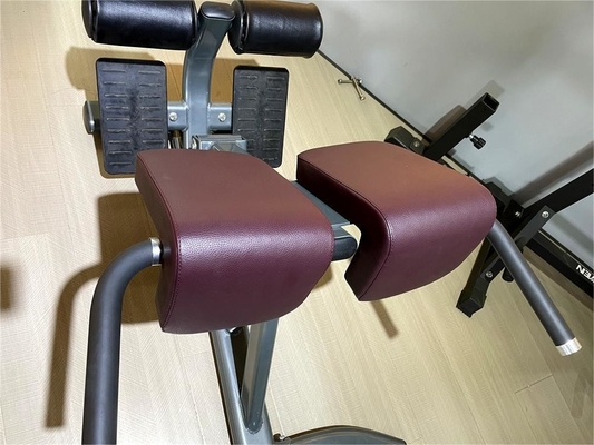 Équipement de fitness de luxe pour les exercices du dos Extension réglable du dos Chaise romaine
