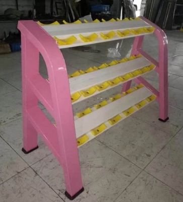 Équipement de remise en forme de la salle de sport à domicile Plateau de rangement de haltères avec couleur de cadre sélectionnable en option