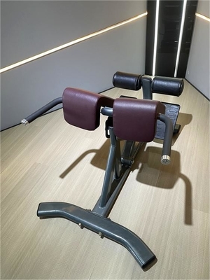 Machine d'extension du dos de 45 degrés avec couleur de cadre sélectionnable en option