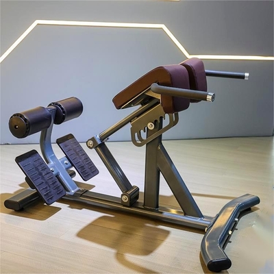 Équipement de musculation pour le gymnase