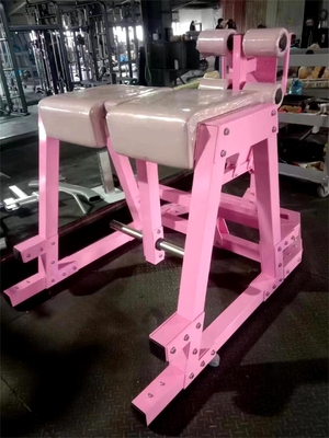 Q235 Entraînement au glute sur plaque, hyper-entraînement inverse pour l'entraînement musculaire dans le gymnase commercial
