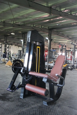 Médium Loader à double fonction réglable assise machine d'extension de la jambe pour le fitness