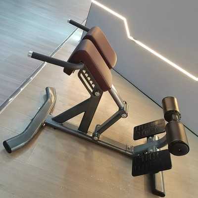 Bench d'extension réglable pour le dos Idéal pour le renforcement du dos et du cœur à la maison