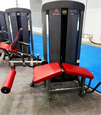 Équipement de remise en forme Machine de remise en forme des jambes pour l'entraînement en force et la musculation