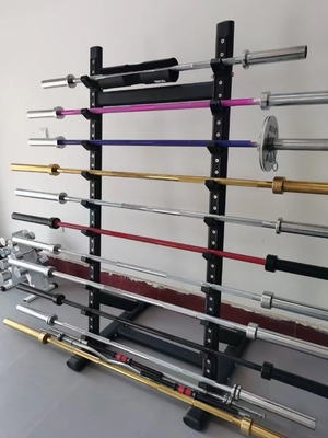 La barre à boucles de la barre EZ est le complément parfait à votre entraînement en musculation libre.