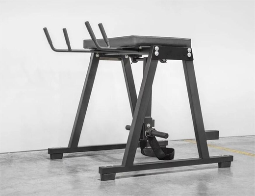 Épaisseur du tube 3,0 mm Hyper machine inverse pour l'entraînement de la force des jambes équipement de remise en forme